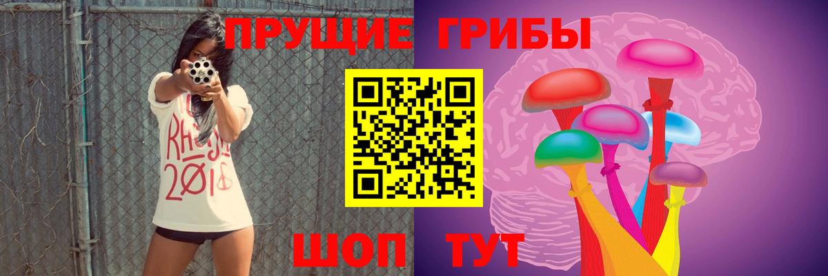 Псилоцибиновые грибы Psilocybe Шадринск