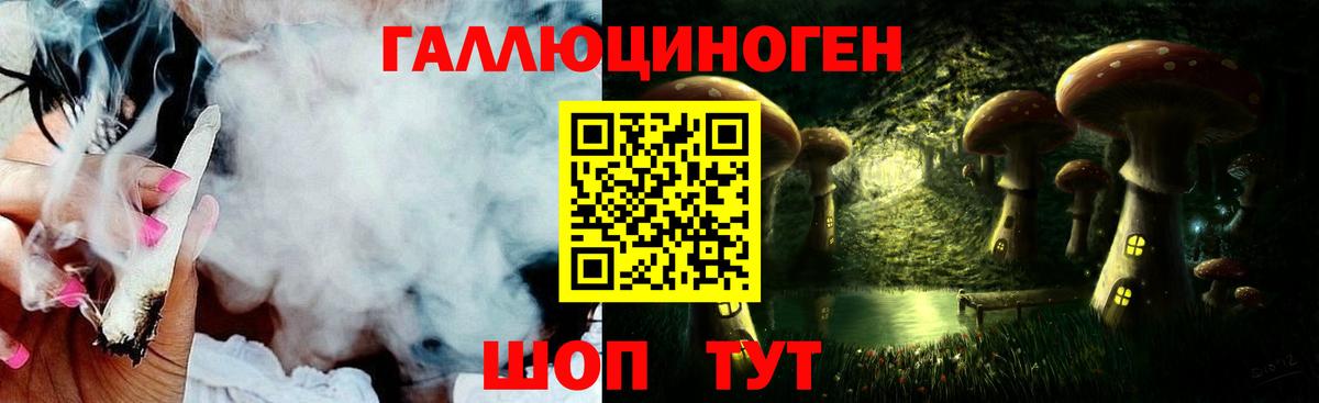 Псилоцибиновые грибы GOLDEN TEACHER  Галлюциногенные грибы GOLDEN TEACHER  Вход с VPN  Шадринск 
